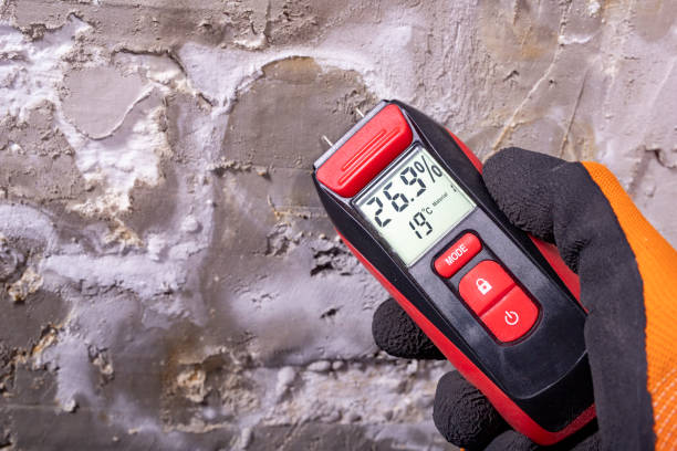 Best Localized Mold Remediation (e.g., coastal areas, humid climates) in Ladysmith, WI