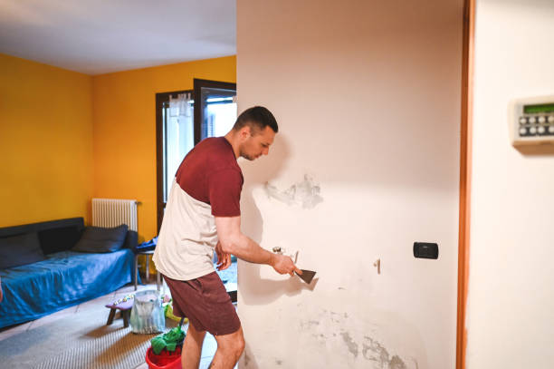 Best Crawl Space Mold Remediation in Ladysmith, WI